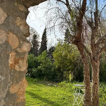 Garden Moncarapacho
